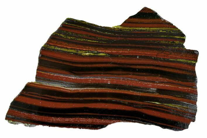 Polished Tiger Iron Stromatolite Slab - Billion Years #162088